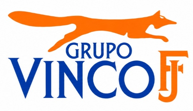 grupovincofj.com.mx